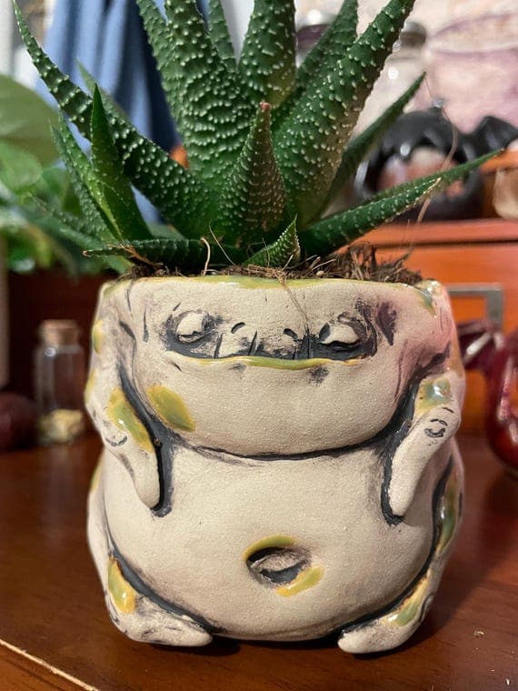 Plant pot Mandrake root Mandragora cachepot Planters for houseplants and succulents Handmade fantasy  ceramic pots Work in a single copy